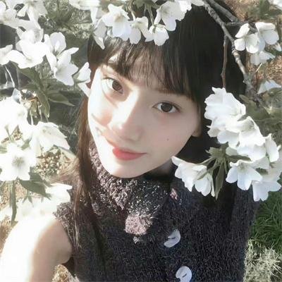 白马之子